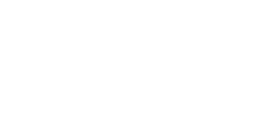 airlinesrule logo