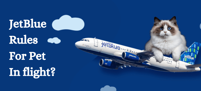 JetBlue Airlines Pet Travel Policy