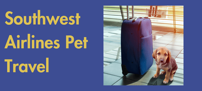 Southwest airlines pet policy