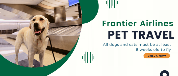 flying with pet on frontier airlines