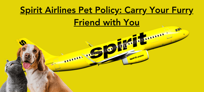 Spirit Airlines Pet Policy And Fees