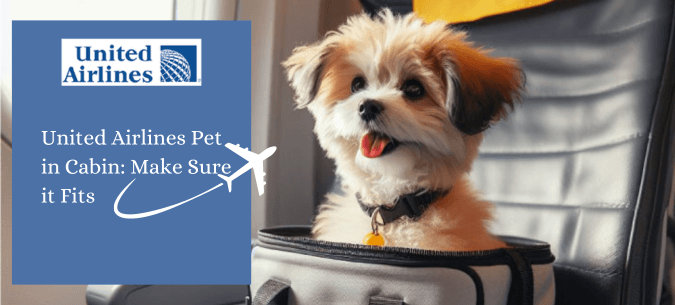 United Airlines pet policy